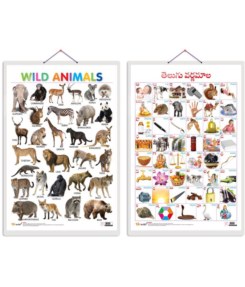     			Set of 2 Wild Animals and Telugu Alphabet (Telugu) Early Learning Educational Charts for Kids | 20"X30" inch |Non-Tearable and Waterproof | Double Sided Laminated | Perfect for Homeschooling, Kindergarten and Nursery Students