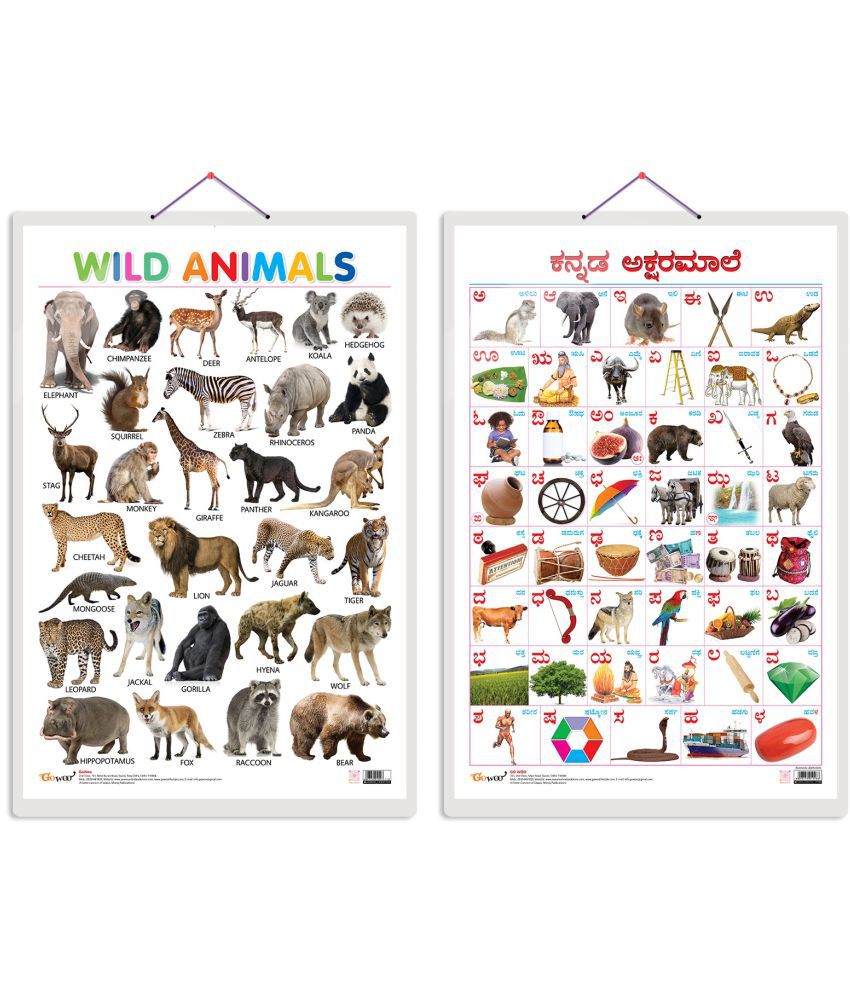    			Set of 2 Wild Animals and Kannada Alphabet Early Learning Educational Charts for Kids | 20"X30" inch |Non-Tearable and Waterproof | Double Sided Laminated | Perfect for Homeschooling, Kindergarten and Nursery Students