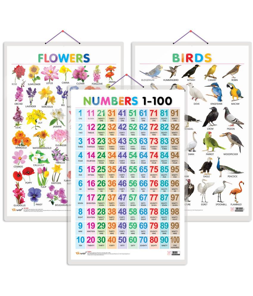     			Set of 3 Birds, Flowers and Numbers 1-100 Early Learning Educational Charts for Kids | 20"X30" inch |Non-Tearable and Waterproof | Double Sided Laminated | Perfect for Homeschooling, Kindergarten and Nursery Students