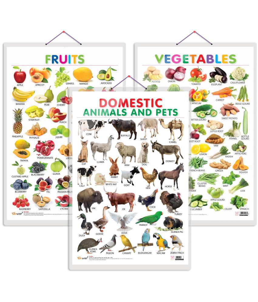     			Set of 3 Fruits, Vegetables and Domestic Animals and Pets Early Learning Educational Charts for Kids | 20"X30" inch |Non-Tearable and Waterproof | Double Sided Laminated | Perfect for Homeschooling, Kindergarten and Nursery Students