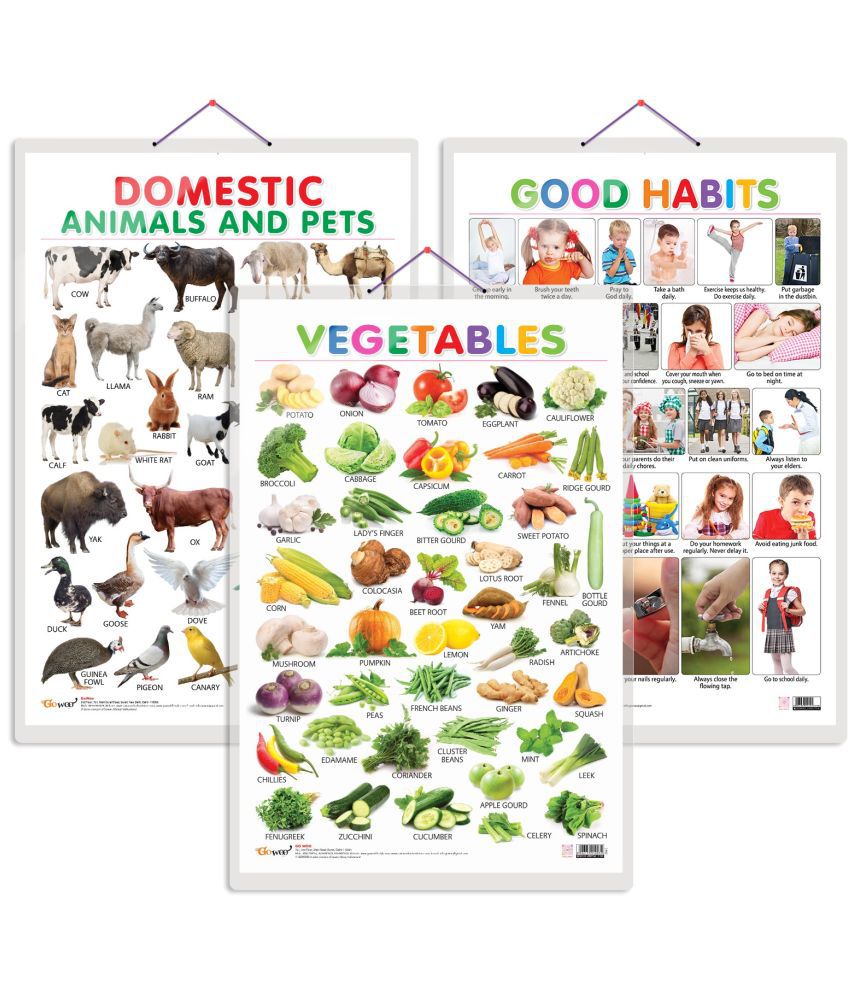     			Set of 3 Vegetables, Domestic Animals and Pets and Good Habits Early Learning Educational Charts for Kids | 20"X30" inch |Non-Tearable and Waterproof | Double Sided Laminated | Perfect for Homeschooling, Kindergarten and Nursery Students