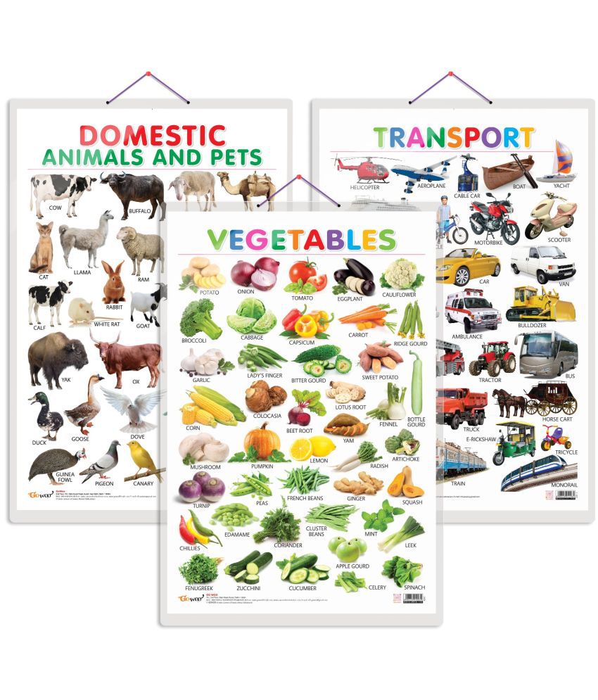     			Set of 3 Vegetables, Domestic Animals and Pets and Transport Early Learning Educational Charts for Kids | 20"X30" inch |Non-Tearable and Waterproof | Double Sided Laminated | Perfect for Homeschooling, Kindergarten and Nursery Students