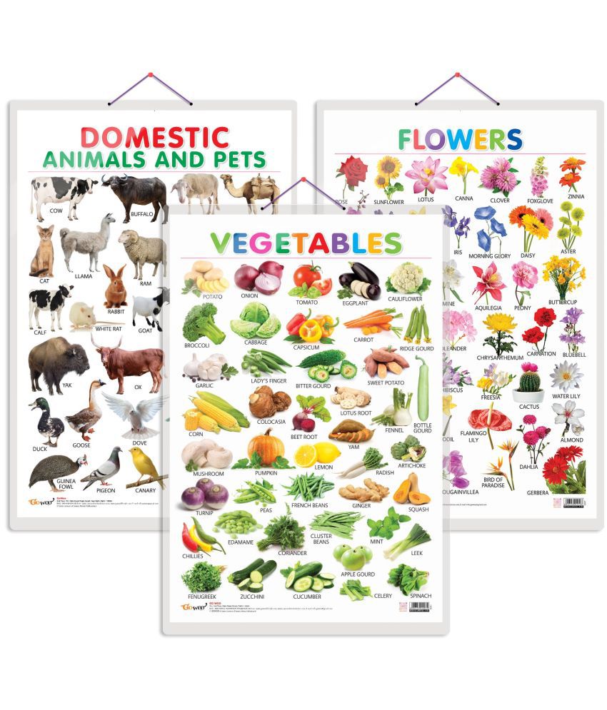     			Set of 3 Vegetables, Domestic Animals and Pets and Flowers Early Learning Educational Charts for Kids | 20"X30" inch |Non-Tearable and Waterproof | Double Sided Laminated | Perfect for Homeschooling, Kindergarten and Nursery Students