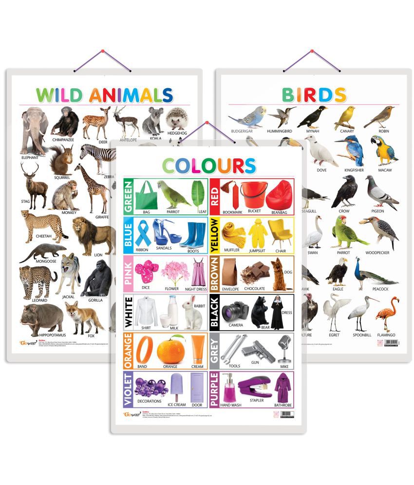     			Set of 3 Wild Animals, Birds and Colours Early Learning Educational Charts for Kids | 20"X30" inch |Non-Tearable and Waterproof | Double Sided Laminated | Perfect for Homeschooling, Kindergarten and Nursery Students