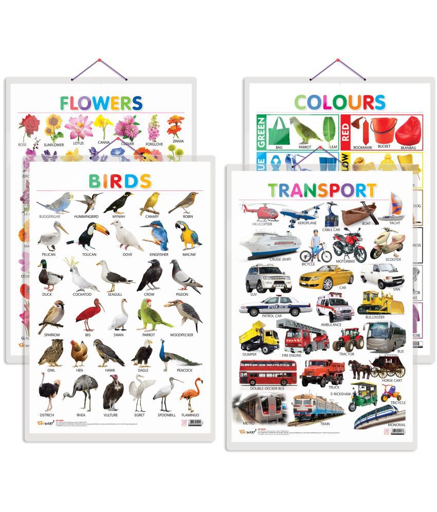     			Set of 4 Birds, Flowers, Colours and Transport Early Learning Educational Charts for Kids | 20"X30" inch |Non-Tearable and Waterproof | Double Sided Laminated | Perfect for Homeschooling, Kindergarten and Nursery Students