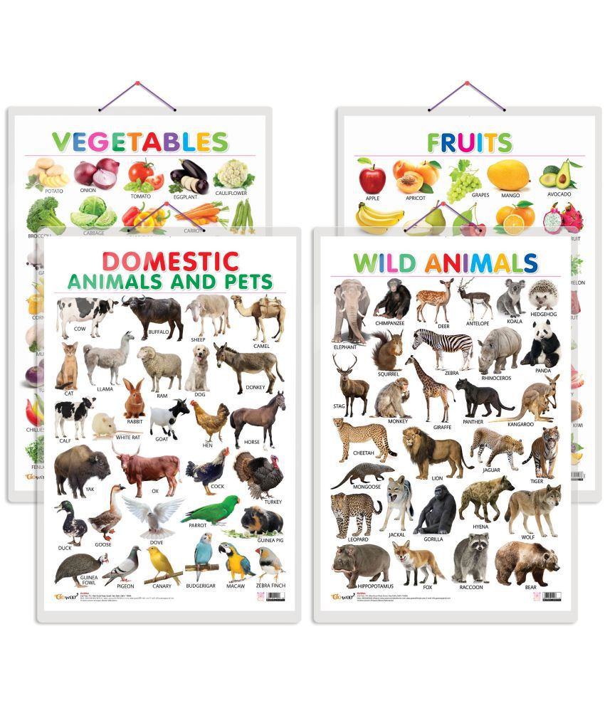     			Set of 4 Fruits, Vegetables, Domestic Animals and Pets and Wild Animals Early Learning Educational Charts for Kids | 20"X30" inch |Non-Tearable and Waterproof | Double Sided Laminated | Perfect for Homeschooling, Kindergarten and Nursery Students