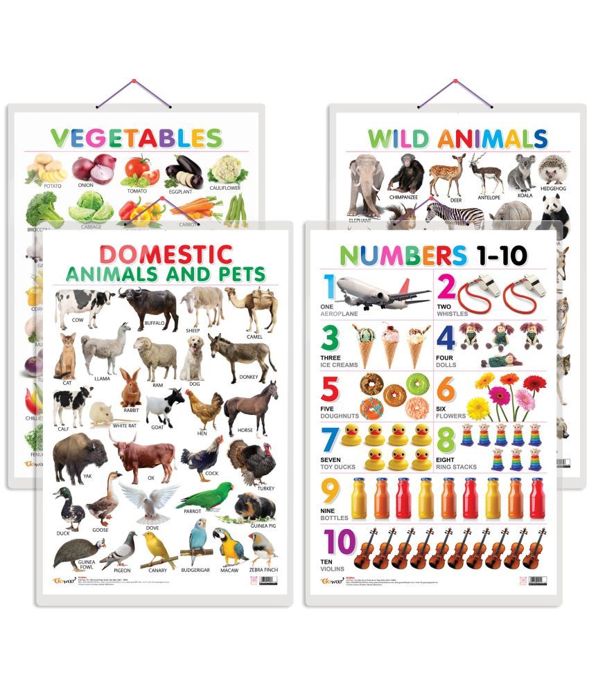     			Set of 4 Vegetables, Domestic Animals and Pets, Wild Animals and Numbers 1-10 Early Learning Educational Charts for Kids | 20"X30" inch |Non-Tearable and Waterproof | Double Sided Laminated | Perfect for Homeschooling, Kindergarten and Nursery Students