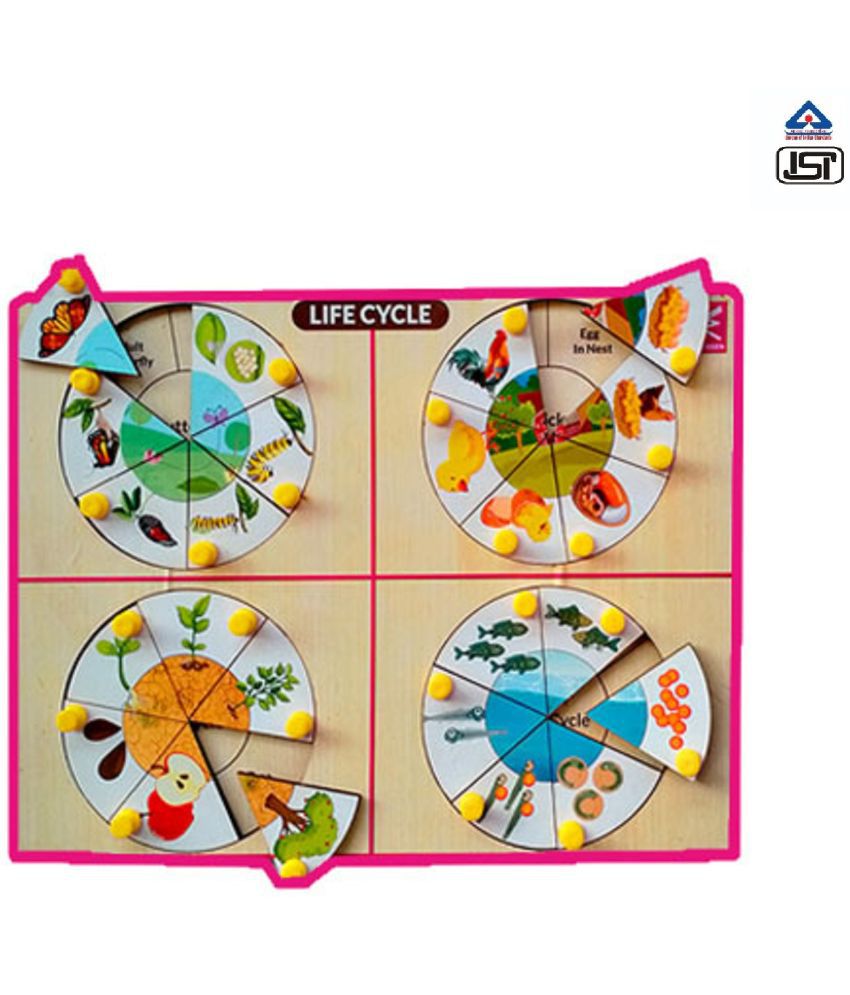     			WISSEN Life Cycle Inside Peg Board Puzzle -12*9 inchfor kids 4 years & above
