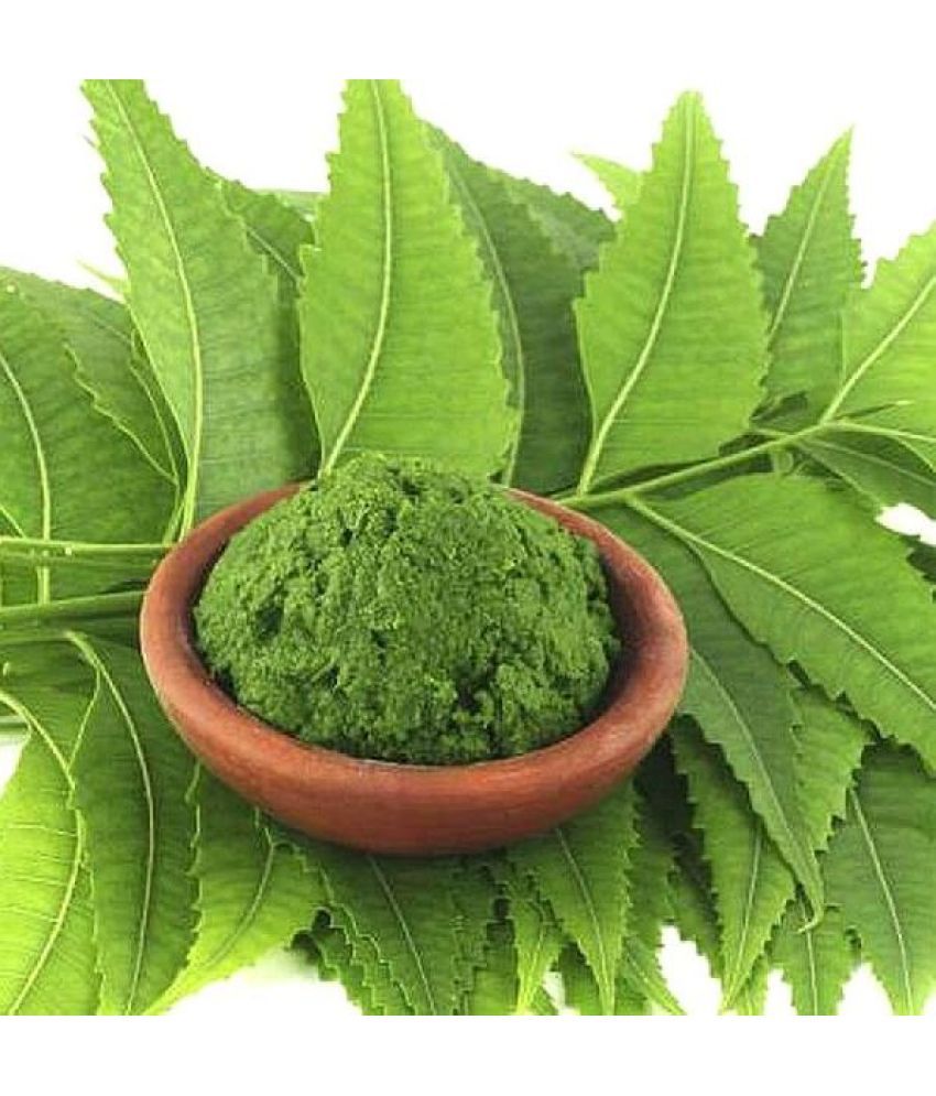     			MYGODGIFT  Neem Patta Powder - Azadirachta Indica - Neem Leaves  200 gm