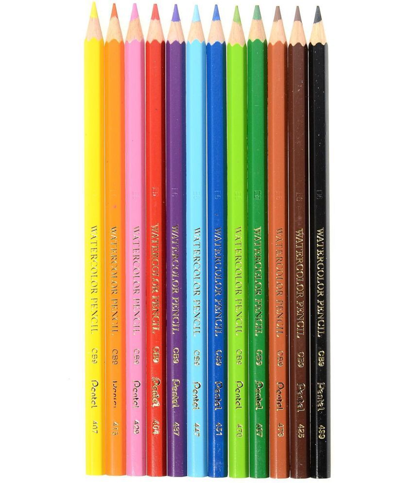     			PENTEL Art Creation Ractangle Shaped Color Pencils (Set of 12, Multicolor)