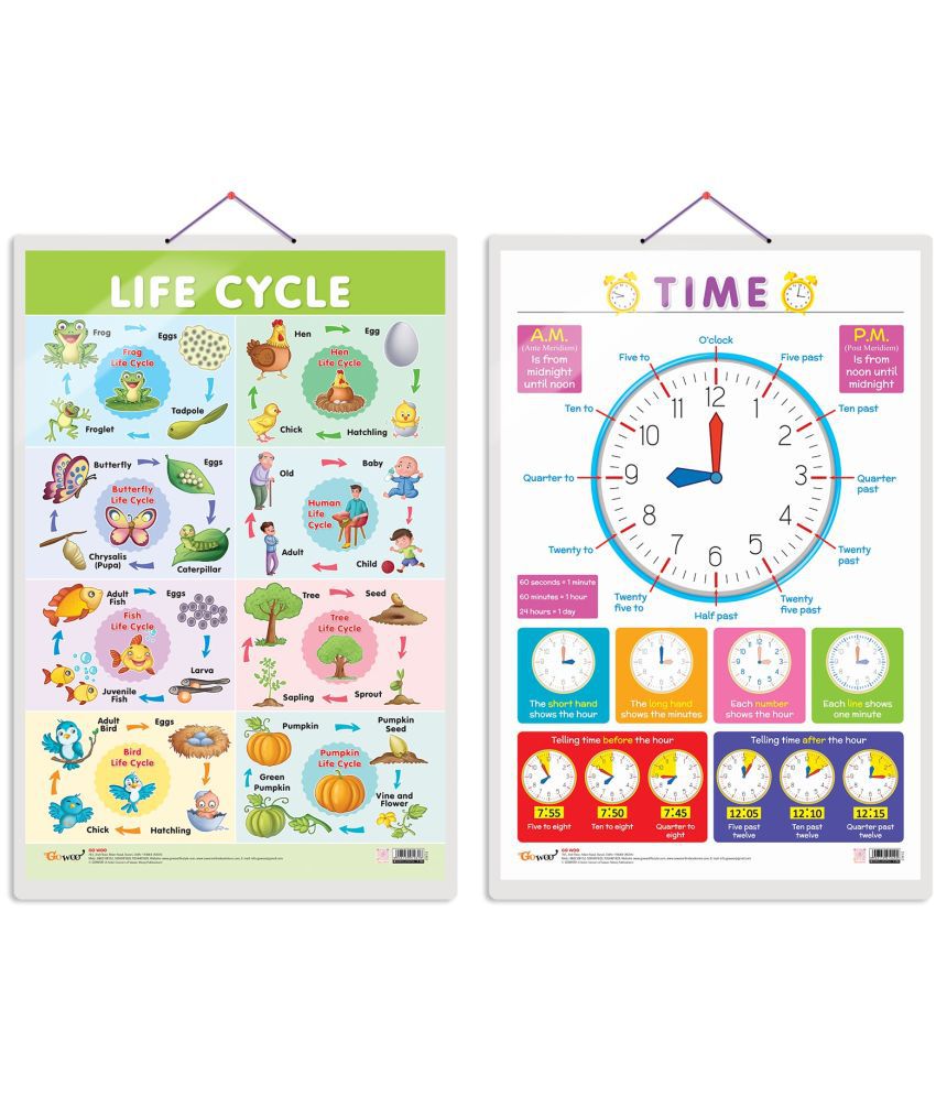     			Set of 2 Life Cycle and TIME Early Learning Educational Charts for Kids | 20"X30" inch |Non-Tearable and Waterproof | Double Sided Laminated | Perfect for Homeschooling, Kindergarten and Nursery Students