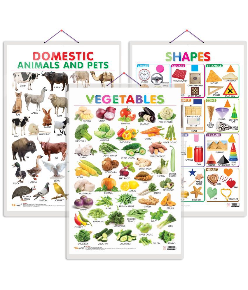     			Set of 3 Vegetables, Domestic Animals and Pets and Shapes Early Learning Educational Charts for Kids | 20"X30" inch |Non-Tearable and Waterproof | Double Sided Laminated | Perfect for Homeschooling, Kindergarten and Nursery Students