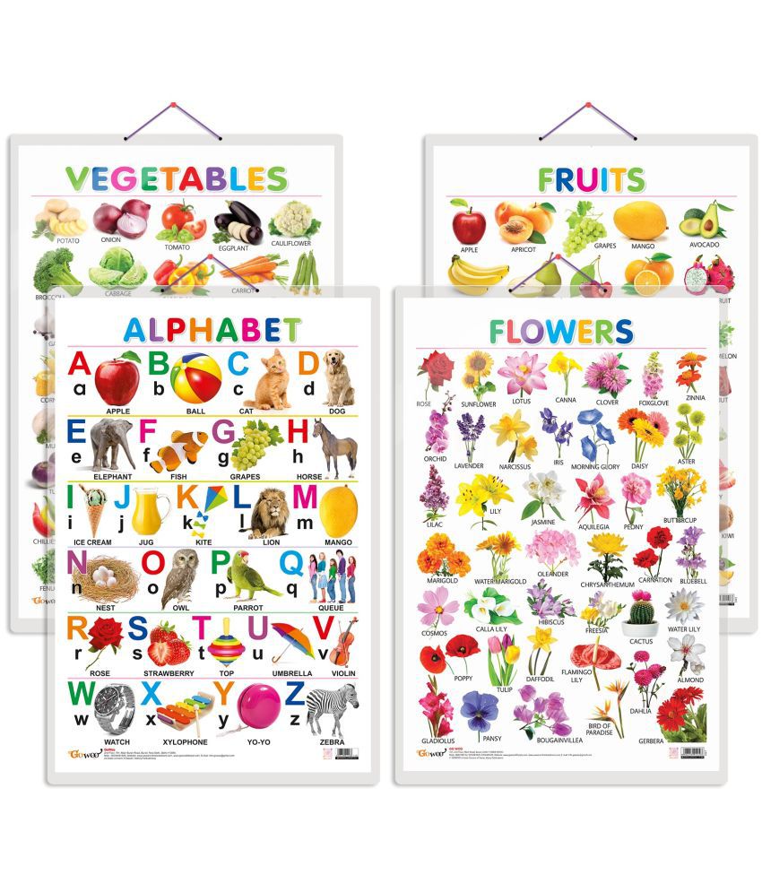     			Set of 4 Alphabet, Fruits, Vegetables and Flowers Early Learning Educational Charts for Kids | 20"X30" inch |Non-Tearable and Waterproof | Double Sided Laminated | Perfect for Homeschooling, Kindergarten and Nursery Students
