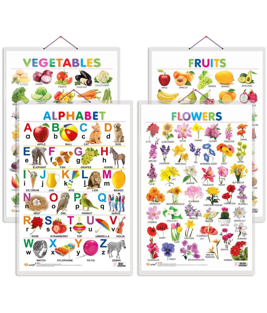     			Set of 4 Alphabet, Fruits, Vegetables and Flowers Early Learning Educational Charts for Kids | 20"X30" inch |Non-Tearable and Waterproof | Double Sided Laminated | Perfect for Homeschooling, Kindergarten and Nursery Students