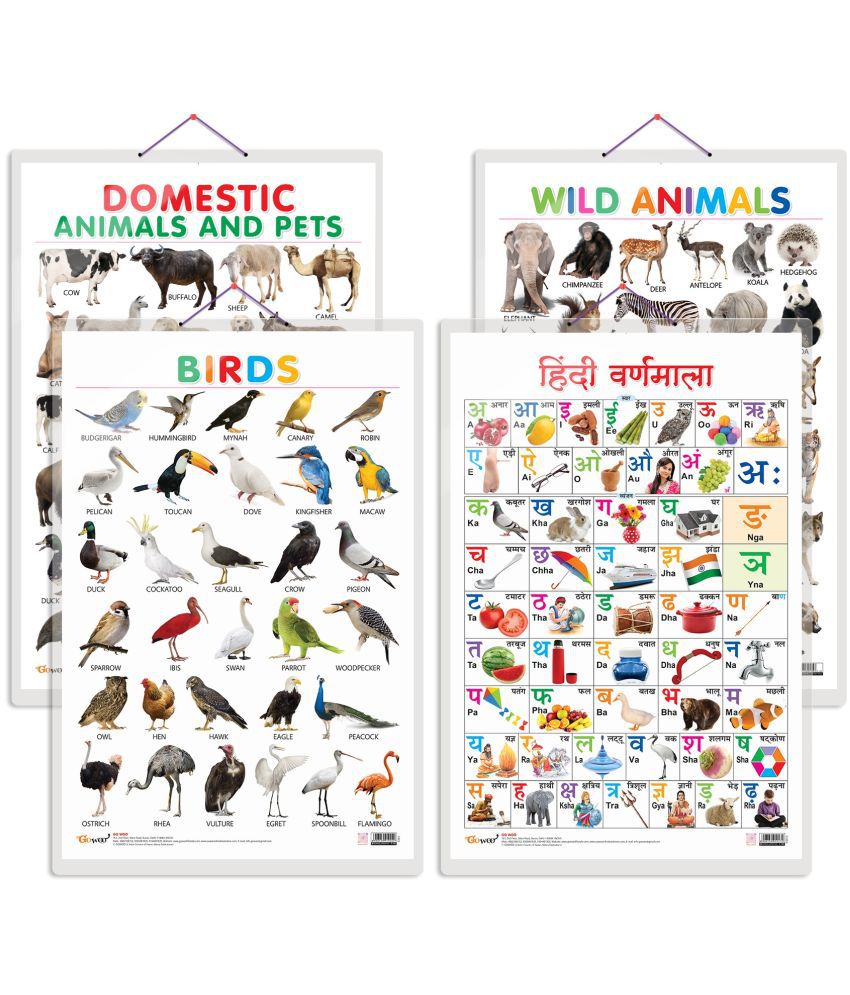     			Set of 4 Domestic Animals and Pets, Wild Animals, Birds and Hindi Varnamala Early Learning Educational Charts for Kids | 20"X30" inch |Non-Tearable and Waterproof | Double Sided Laminated | Perfect for Homeschooling, Kindergarten and Nursery Students