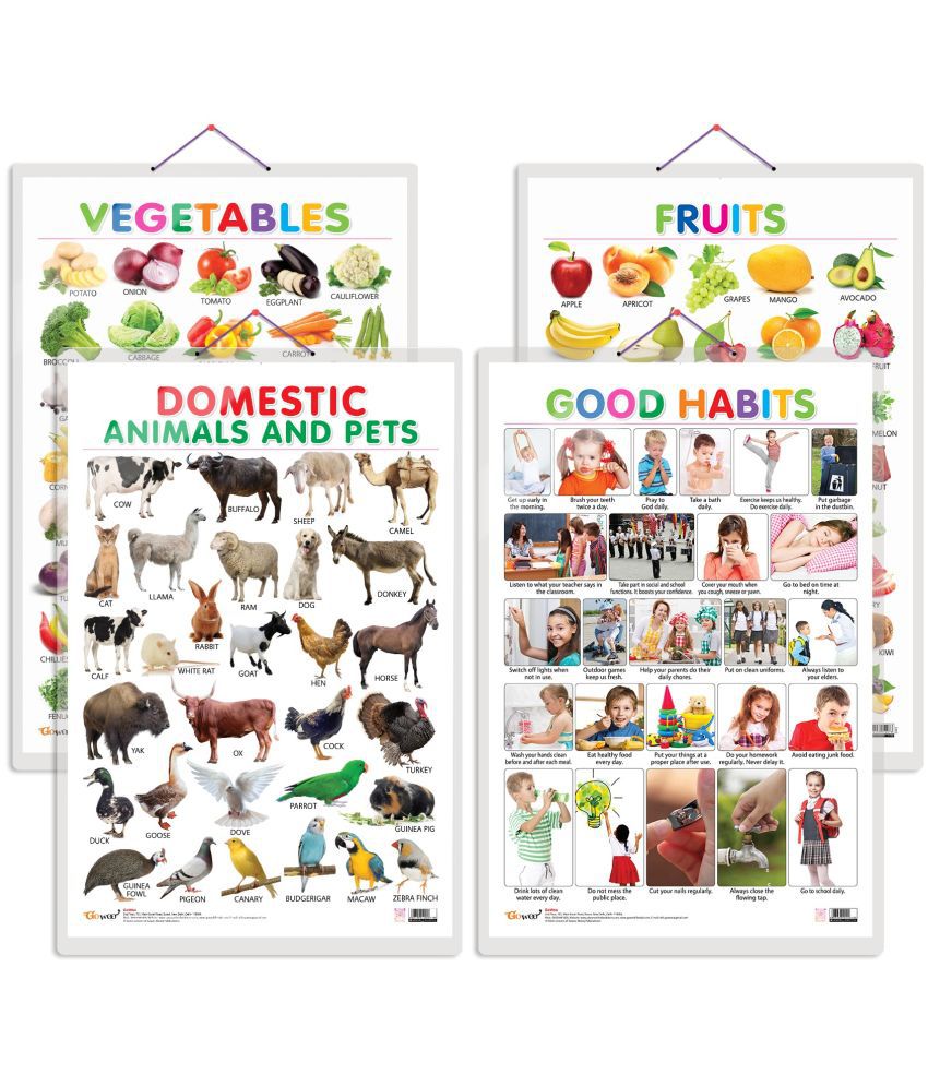     			Set of 4 Fruits, Vegetables, Domestic Animals and Pets and Good Habits Early Learning Educational Charts for Kids | 20"X30" inch |Non-Tearable and Waterproof | Double Sided Laminated | Perfect for Homeschooling, Kindergarten and Nursery Students