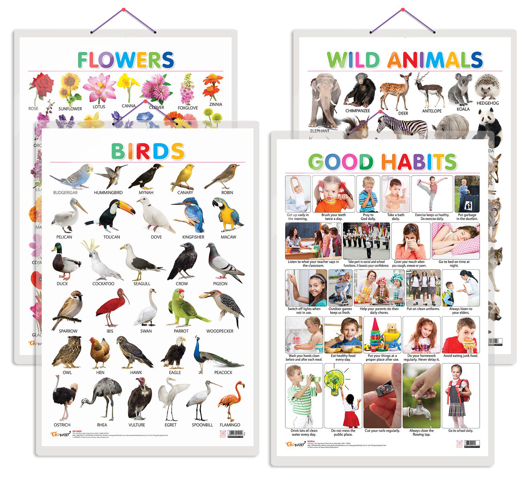     			Set of 4 Wild Animals, Birds, Flowers and Good Habits Early Learning Educational Charts for Kids | 20"X30" inch |Non-Tearable and Waterproof | Double Sided Laminated | Perfect for Homeschooling, Kindergarten and Nursery Students