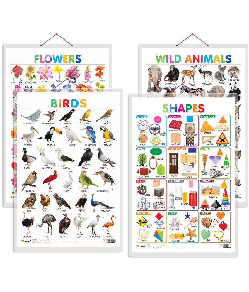     			Set of 4 Wild Animals, Birds, Flowers and Shapes Early Learning Educational Charts for Kids | 20"X30" inch |Non-Tearable and Waterproof | Double Sided Laminated | Perfect for Homeschooling, Kindergarten and Nursery Students