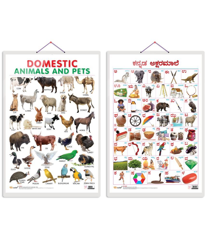     			Set of 2 Domestic Animals and Pets and Kannada Alphabet Early Learning Educational Charts for Kids | 20"X30" inch |Non-Tearable and Waterproof | Double Sided Laminated | Perfect for Homeschooling, Kindergarten and Nursery Students