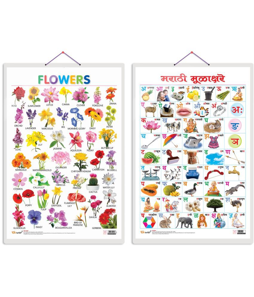     			Set of 2 Flowers and Marathi Varnamala (Marathi) Early Learning Educational Charts for Kids | 20"X30" inch |Non-Tearable and Waterproof | Double Sided Laminated | Perfect for Homeschooling, Kindergarten and Nursery Students