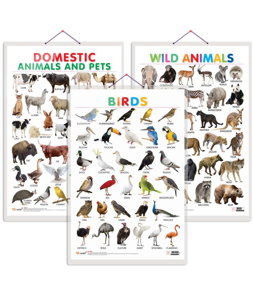     			Set of 3 Domestic Animals and Pets, Wild Animals and Birds Early Learning Educational Charts for Kids | 20"X30" inch |Non-Tearable and Waterproof | Double Sided Laminated | Perfect for Homeschooling, Kindergarten and Nursery Students