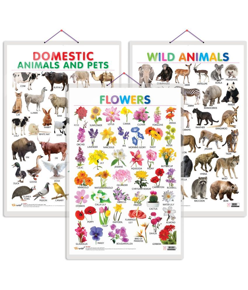     			Set of 3 Domestic Animals and Pets, Wild Animals and Flowers Early Learning Educational Charts for Kids | 20"X30" inch |Non-Tearable and Waterproof | Double Sided Laminated | Perfect for Homeschooling, Kindergarten and Nursery Students