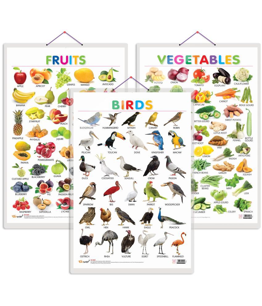     			Set of 3 Fruits, Vegetables and Birds Early Learning Educational Charts for Kids | 20"X30" inch |Non-Tearable and Waterproof | Double Sided Laminated | Perfect for Homeschooling, Kindergarten and Nursery Students
