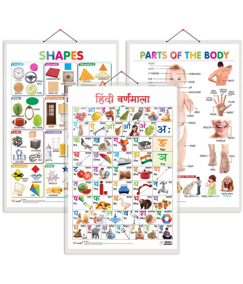     			Set of 3 Shapes, Parts of the Body and Hindi Varnamala Chart for Kids | 20"X30" inch |Non-Tearable and Waterproof | Double Sided Laminated | Perfect for Homeschooling, Kindergarten and Nursery Students