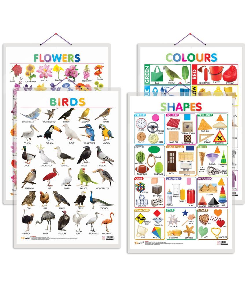     			Set of 4 Birds, Flowers, Colours and Shapes Early Learning Educational Charts for Kids | 20"X30" inch |Non-Tearable and Waterproof | Double Sided Laminated | Perfect for Homeschooling, Kindergarten and Nursery Students