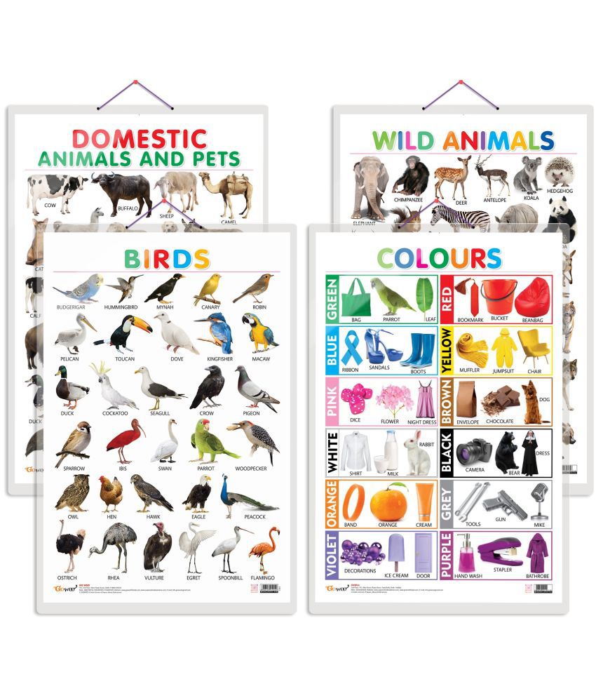     			Set of 4 Domestic Animals and Pets, Wild Animals, Birds and Colours Early Learning Educational Charts for Kids | 20"X30" inch |Non-Tearable and Waterproof | Double Sided Laminated | Perfect for Homeschooling, Kindergarten and Nursery Students