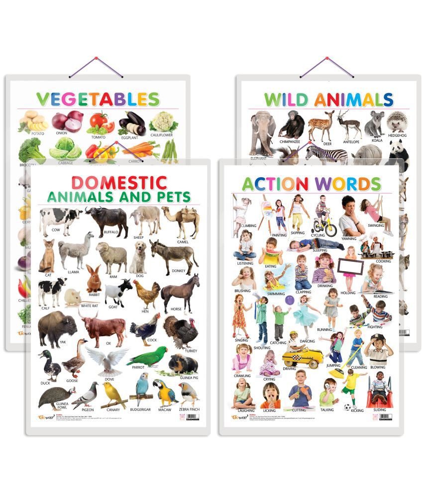     			Set of 4 Vegetables, Domestic Animals and Pets, Wild Animals and Action Words Early Learning Educational Charts for Kids | 20"X30" inch |Non-Tearable and Waterproof | Double Sided Laminated | Perfect for Homeschooling, Kindergarten and Nursery Students