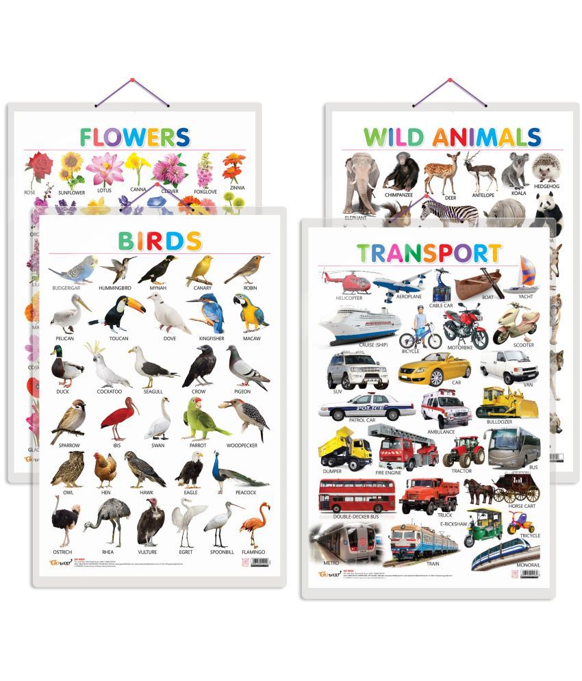     			Set of 4 Wild Animals, Birds, Flowers and Transport Early Learning Educational Charts for Kids | 20"X30" inch |Non-Tearable and Waterproof | Double Sided Laminated | Perfect for Homeschooling, Kindergarten and Nursery Students
