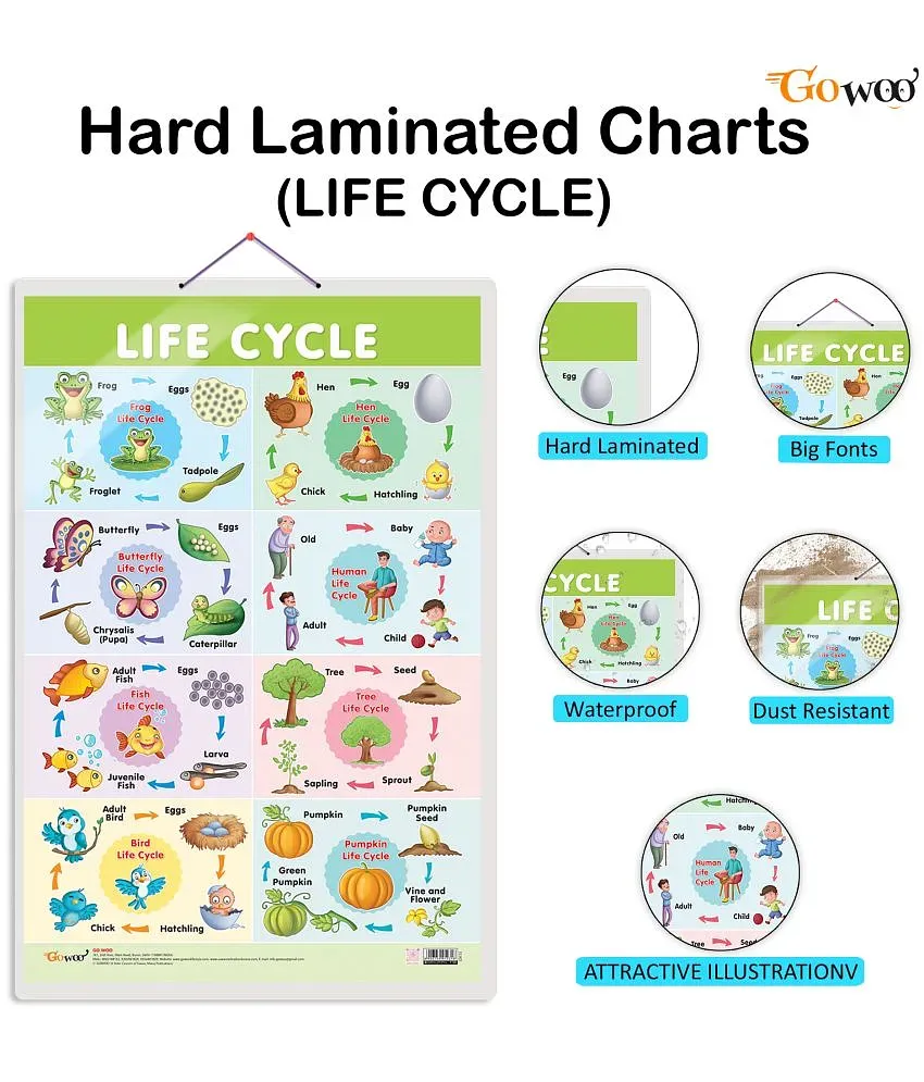 Set of 6 Periodic Table, Life Cycle, TIME, SUBTRACTION, NUMBERS AND  FRACTIONS and MONTHS OF THE YEAR AND DAYS OF THE WEEK Early Learning  Educational