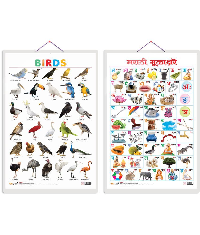     			Set of 2 Birds and Marathi Varnamala (Marathi) Early Learning Educational Charts for Kids | 20"X30" inch |Non-Tearable and Waterproof | Double Sided Laminated | Perfect for Homeschooling, Kindergarten and Nursery Students
