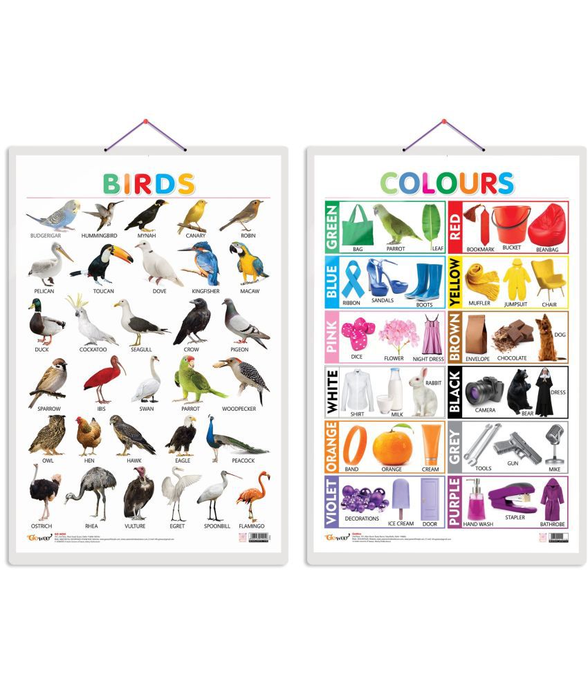     			Set of 2 Birds and Colours Early Learning Educational Charts for Kids | 20"X30" inch |Non-Tearable and Waterproof | Double Sided Laminated | Perfect for Homeschooling, Kindergarten and Nursery Students