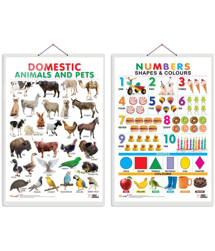     			Set of 2 Domestic Animals and Pets and Numbers, Shapes & Colours Early Learning Educational Charts for Kids | 20"X30" inch |Non-Tearable and Waterproof | Double Sided Laminated | Perfect for Homeschooling, Kindergarten and Nursery Students