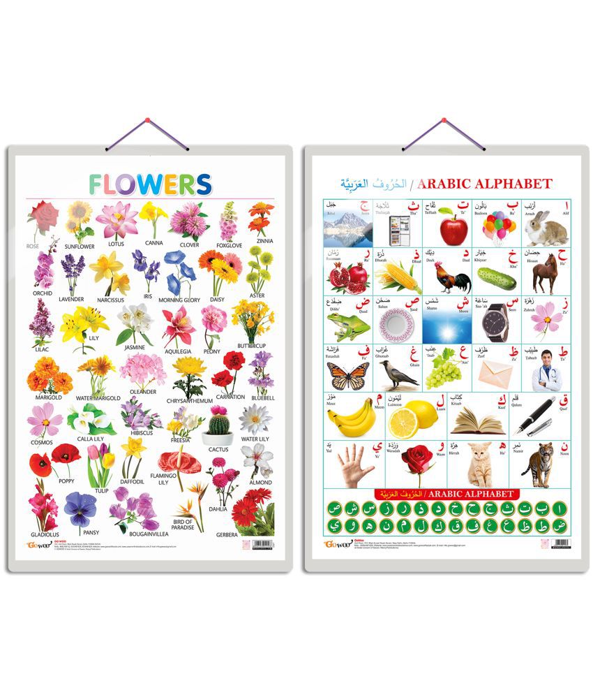     			Set of 2 Flowers and Arabic Alphabet (Arabic) Early Learning Educational Charts for Kids | 20"X30" inch |Non-Tearable and Waterproof | Double Sided Laminated | Perfect for Homeschooling, Kindergarten and Nursery Students