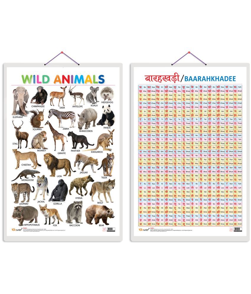     			Set of 2 Wild Animals and Baarahkhadee Early Learning Educational Charts for Kids | 20"X30" inch |Non-Tearable and Waterproof | Double Sided Laminated | Perfect for Homeschooling, Kindergarten and Nursery Students