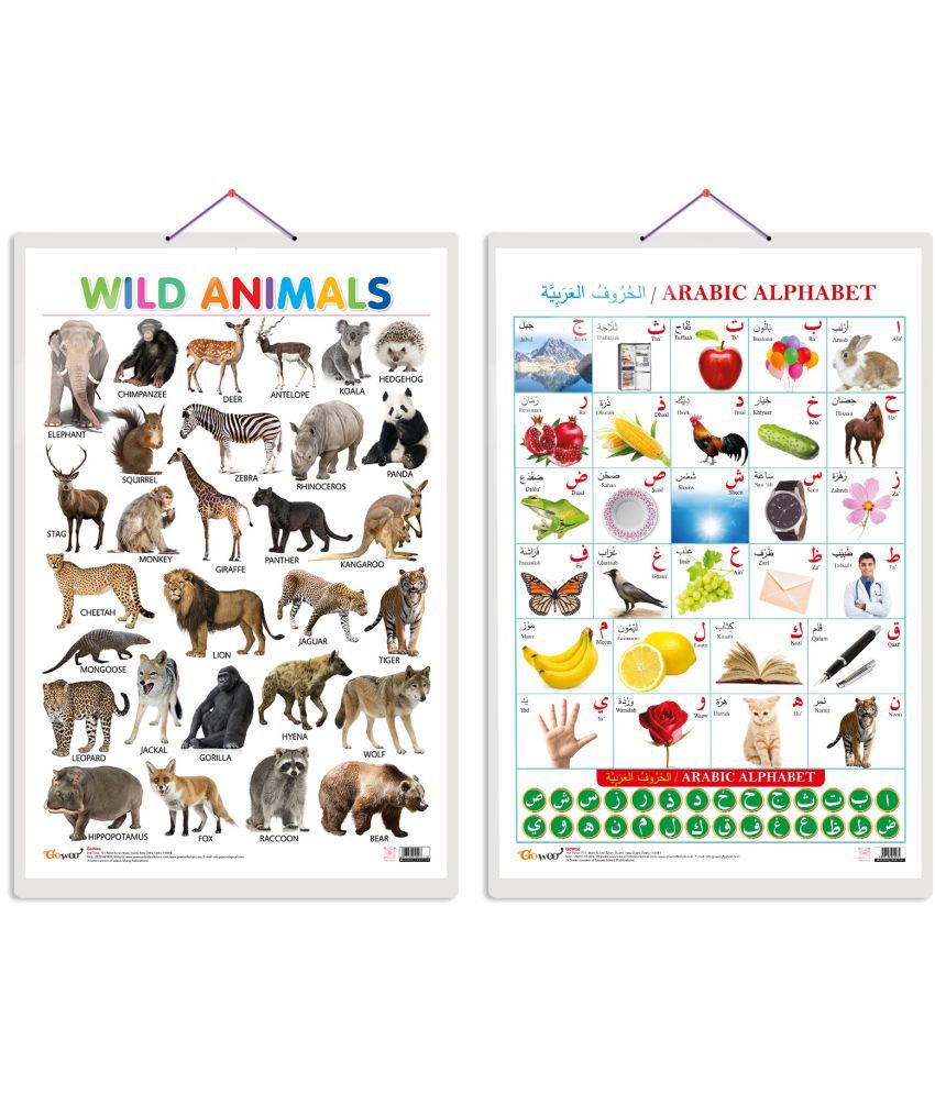     			Set of 2 Wild Animals and Arabic Alphabet (Arabic) Early Learning Educational Charts for Kids | 20"X30" inch |Non-Tearable and Waterproof | Double Sided Laminated | Perfect for Homeschooling, Kindergarten and Nursery Students