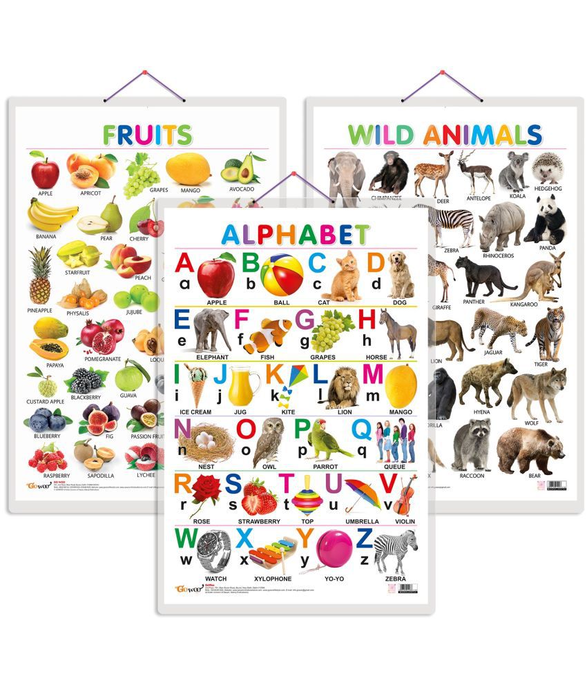     			Set of 3 Alphabet, Fruits and Wild Animals Early Learning Educational Charts for Kids | 20"X30" inch |Non-Tearable and Waterproof | Double Sided Laminated | Perfect for Homeschooling, Kindergarten and Nursery Students