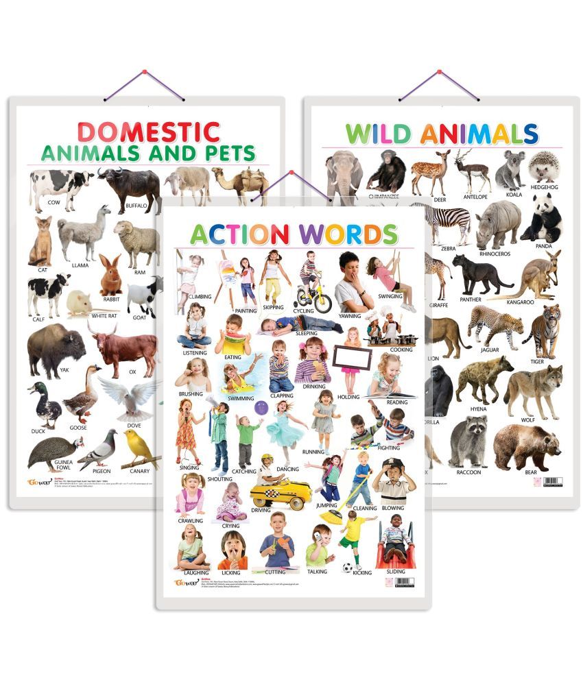     			Set of 3 Domestic Animals and Pets, Wild Animals and Action Words Early Learning Educational Charts for Kids | 20"X30" inch |Non-Tearable and Waterproof | Double Sided Laminated | Perfect for Homeschooling, Kindergarten and Nursery Students