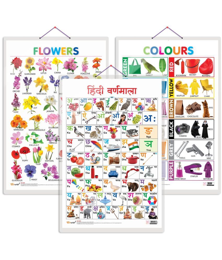     			Set of 3 Flowers, Colours and Hindi Varnamala Early Learning Educational Charts for Kids | 20"X30" inch |Non-Tearable and Waterproof | Double Sided Laminated | Perfect for Homeschooling, Kindergarten and Nursery Students