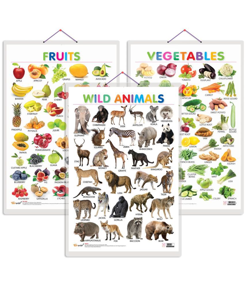     			Set of 3 Fruits, Vegetables and Wild Animals Early Learning Educational Charts for Kids | 20"X30" inch |Non-Tearable and Waterproof | Double Sided Laminated | Perfect for Homeschooling, Kindergarten and Nursery Students