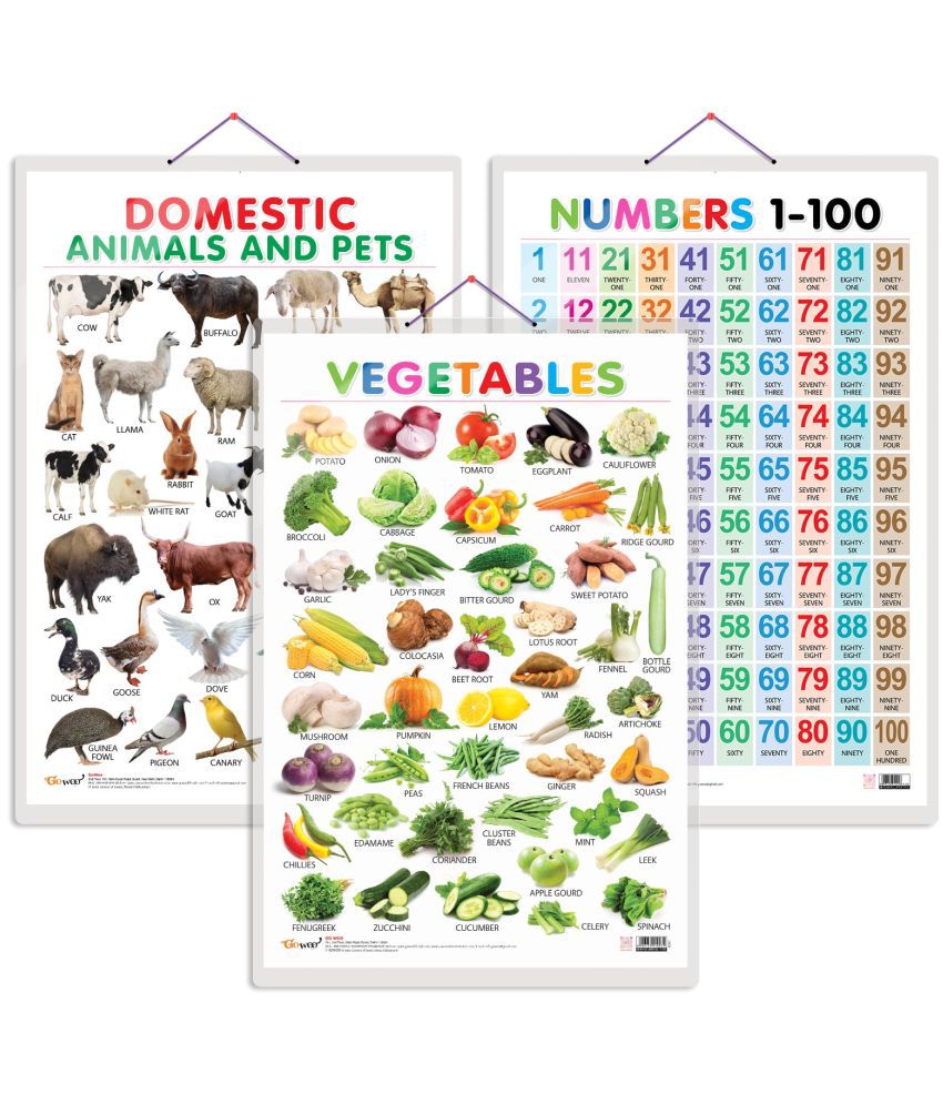     			Set of 3 Vegetables, Domestic Animals and Pets and Numbers 1-100 Early Learning Educational Charts for Kids | 20"X30" inch |Non-Tearable and Waterproof | Double Sided Laminated | Perfect for Homeschooling, Kindergarten and Nursery Students