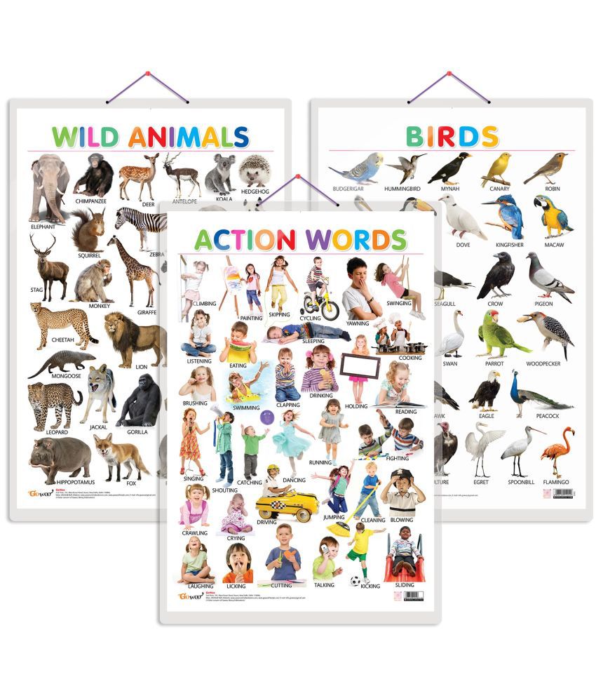     			Set of 3 Wild Animals, Birds and Action Words Early Learning Educational Charts for Kids | 20"X30" inch |Non-Tearable and Waterproof | Double Sided Laminated | Perfect for Homeschooling, Kindergarten and Nursery Students