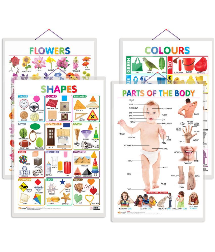     			Set of 4 Flowers, Colours, Shapes and Parts of the Body Early Learning Educational Charts for Kids | 20"X30" inch |Non-Tearable and Waterproof | Double Sided Laminated | Perfect for Homeschooling, Kindergarten and Nursery Students