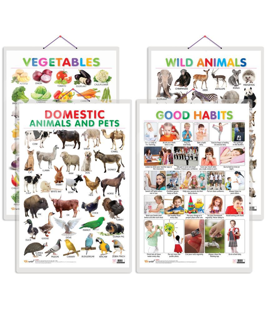     			Set of 4 Vegetables, Domestic Animals and Pets, Wild Animals and Good Habits Early Learning Educational Charts for Kids | 20"X30" inch |Non-Tearable and Waterproof | Double Sided Laminated | Perfect for Homeschooling, Kindergarten and Nursery Students