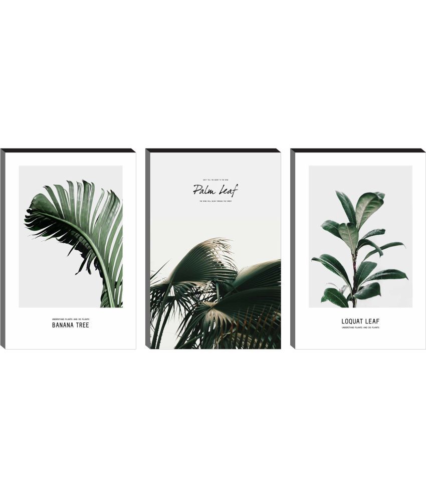     			Saf - Art Prints With Frame