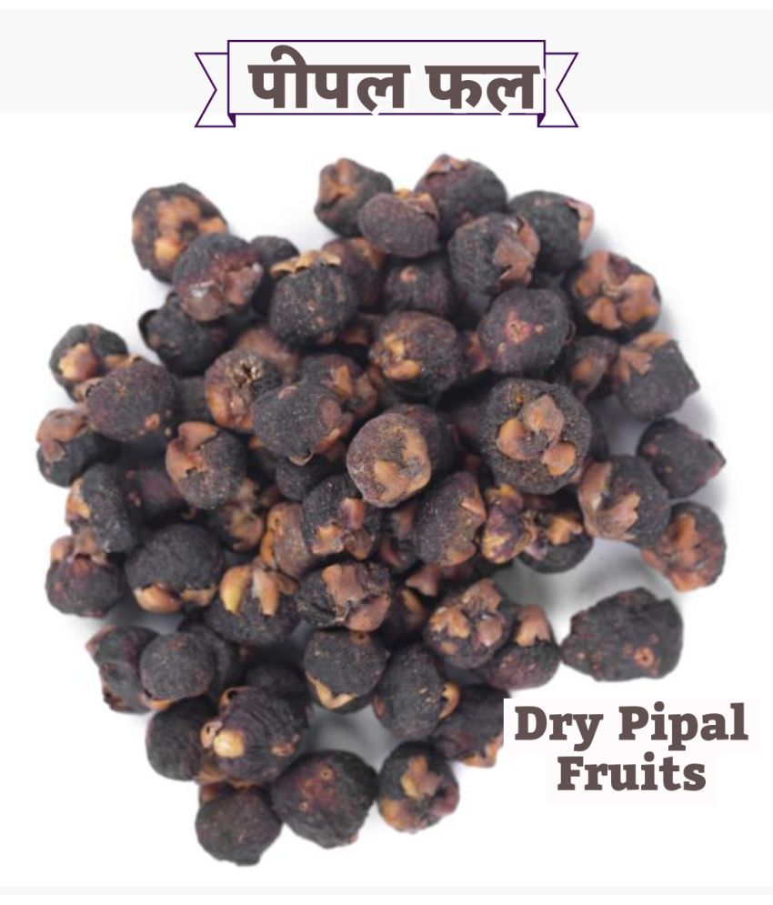     			SS520 Dried Pipal Phal 200g. Peepal Fal Pipal Tree Fruits Ficus religiosa 200 gm