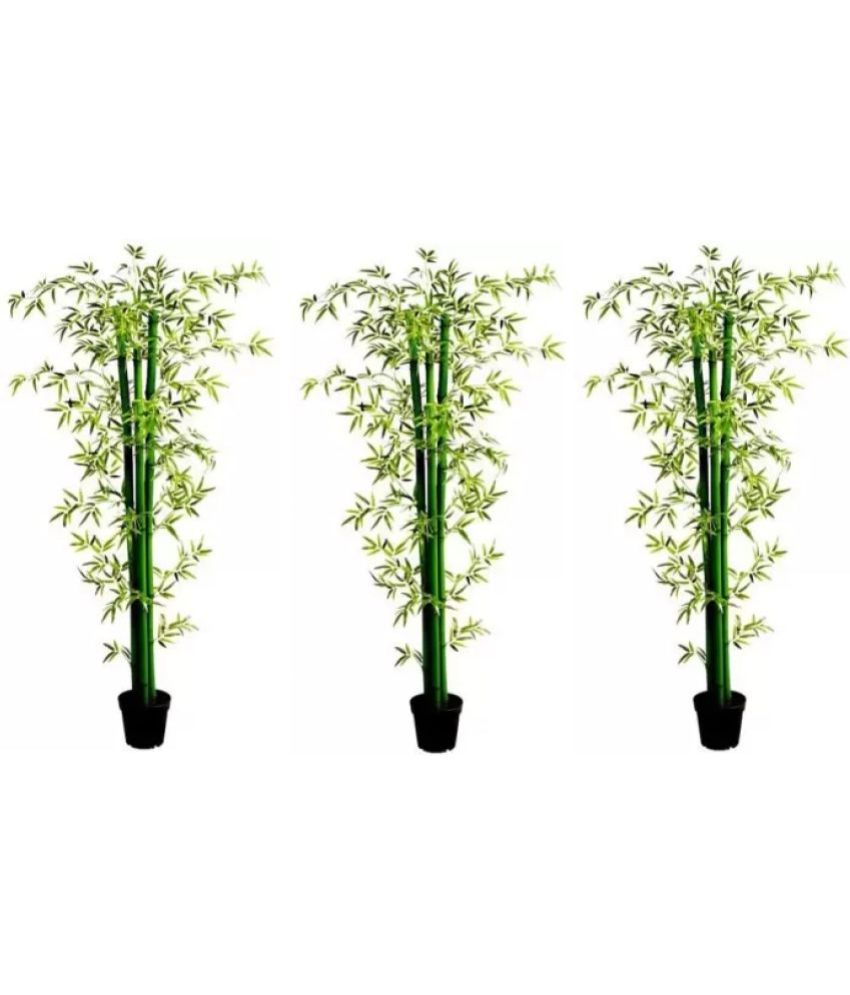     			Green plant indoor - Green Wild Artificial Tree ( Pack of 3 )
